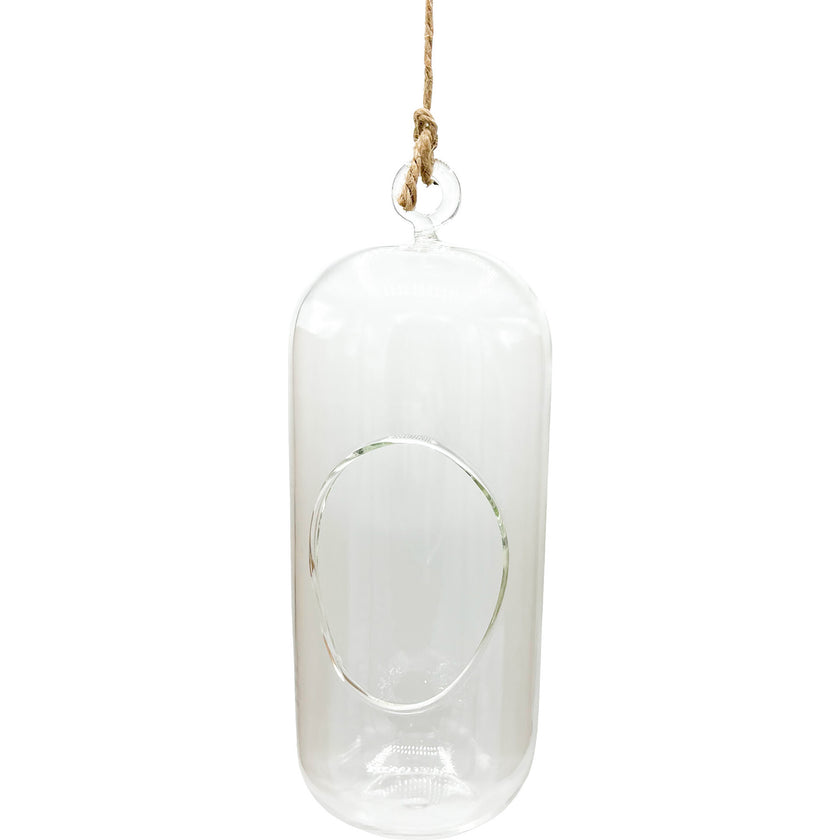 Glass Terrarium: Carefree Capsule
