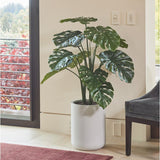 4' Monstera Plant in Modern Gray Planter