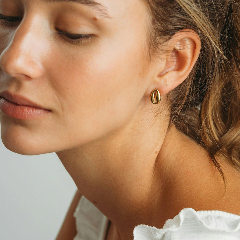 Cowrie Shell Studs
