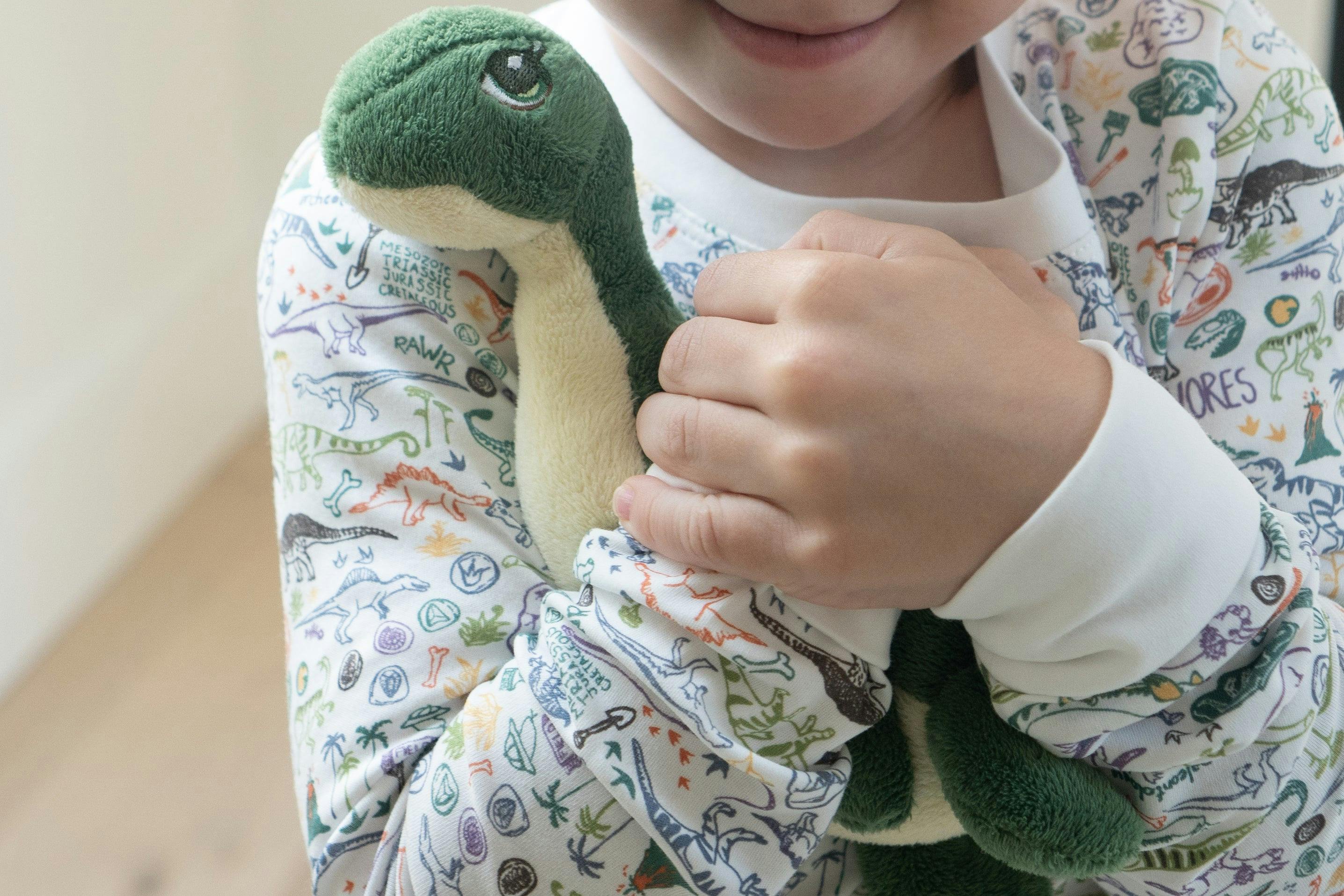 Dino Two Piece Kids Pajamas