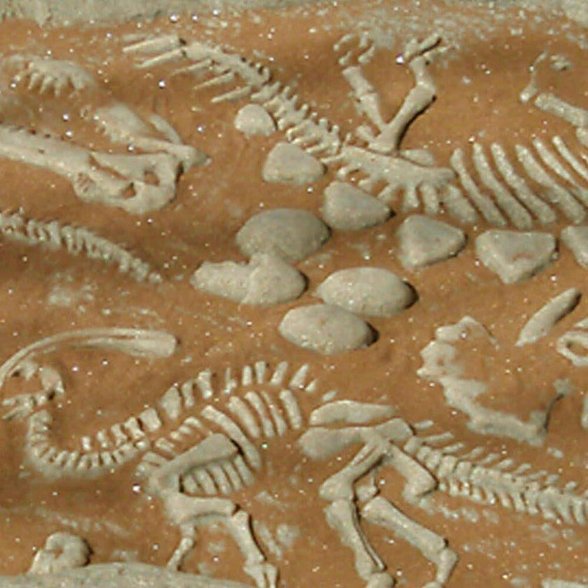 Digasaurus Sandbox - Excavation Activity
