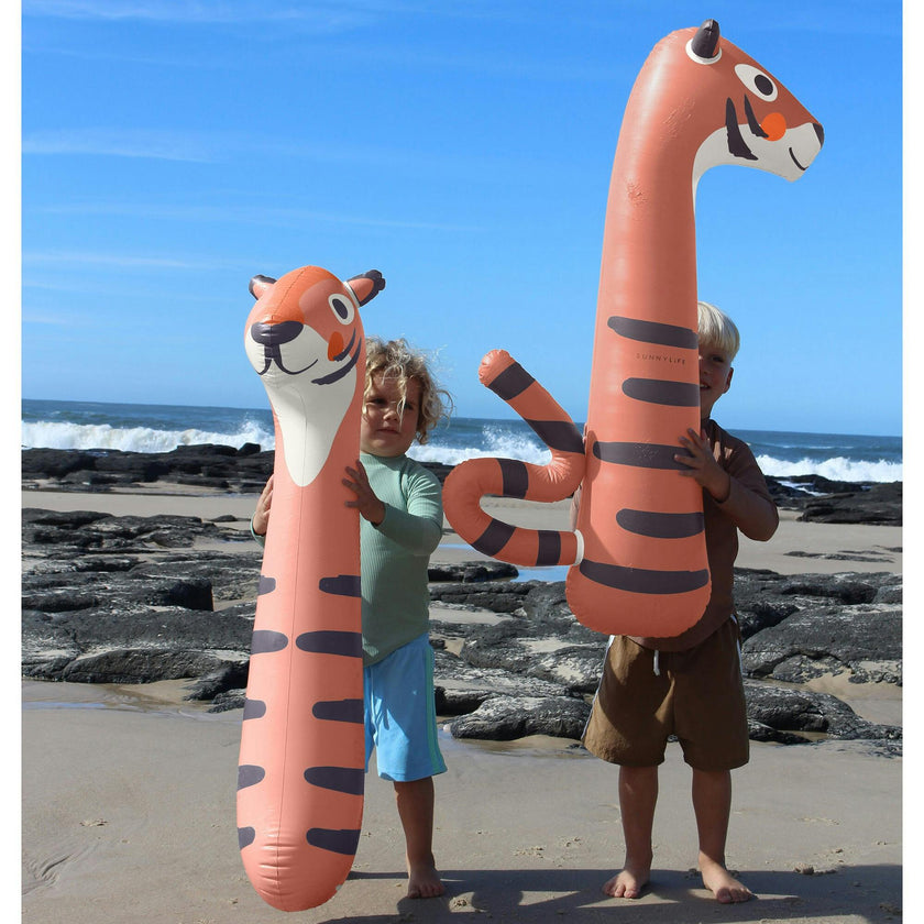 Kids Inflatable Noodle: Tino The Tiger Clay - 2pk