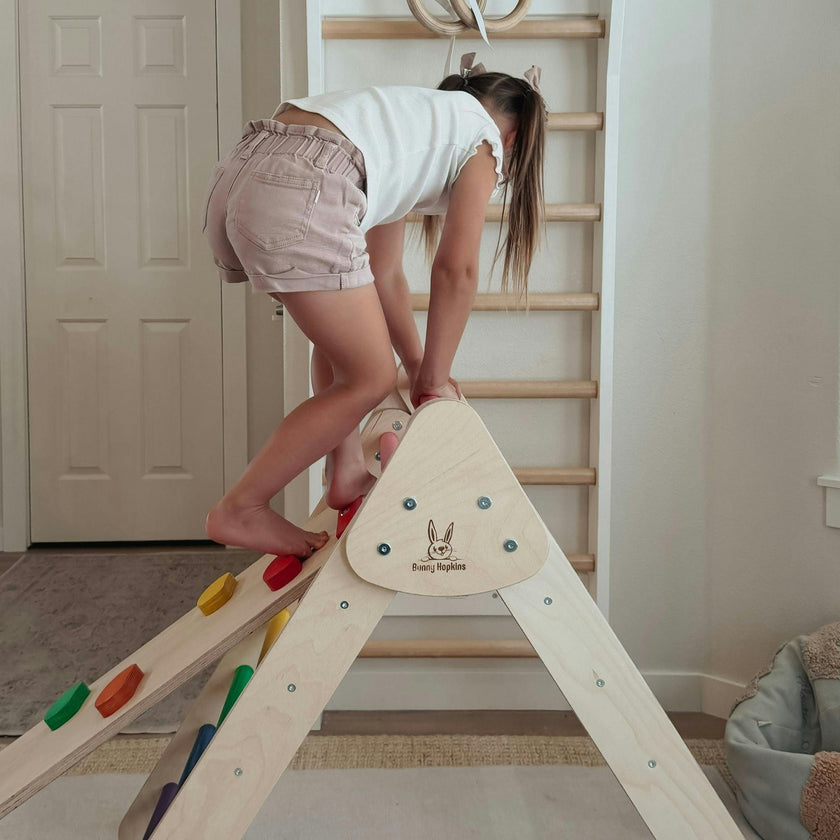 Classic Climber Playset