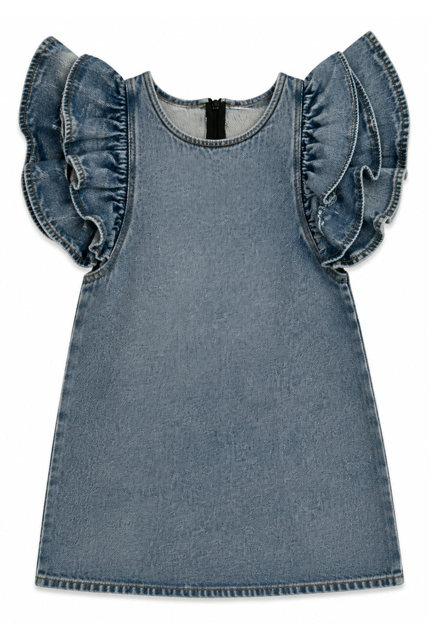 Denim Ruffle Dress