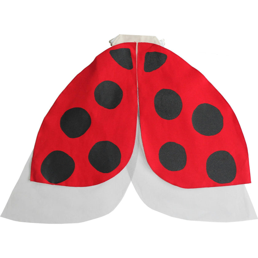 Costume Wings