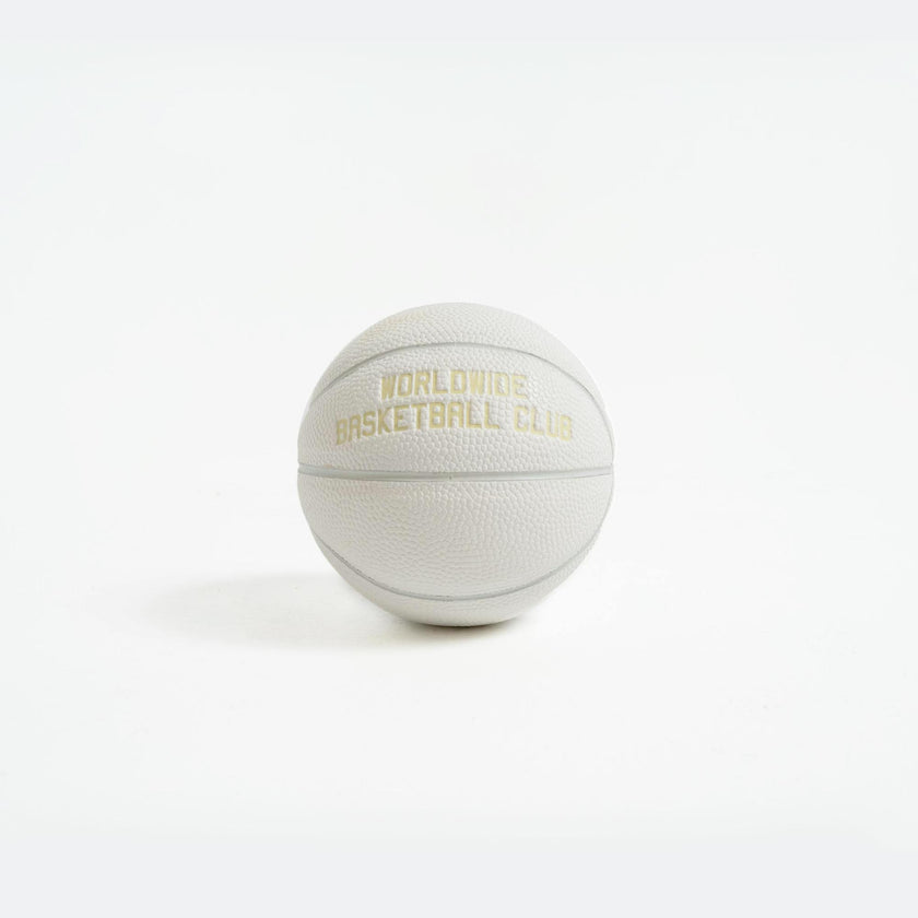 Mini White Worldwide Basketball