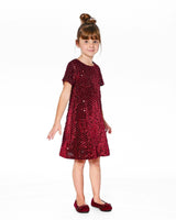 Velvet Short Sleeve Dress