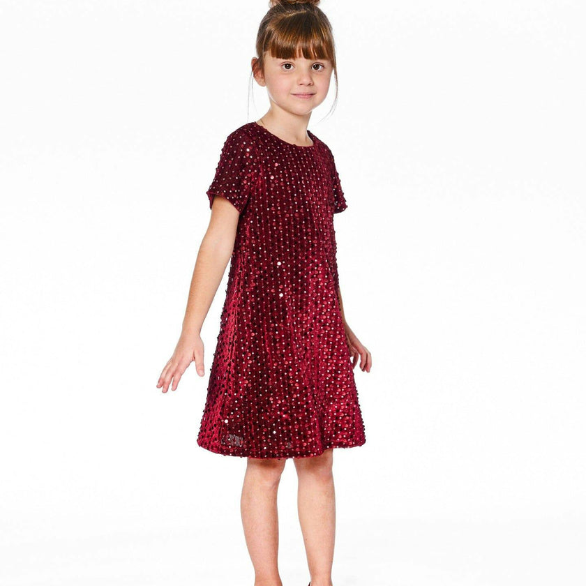 Velvet Short Sleeve Dress