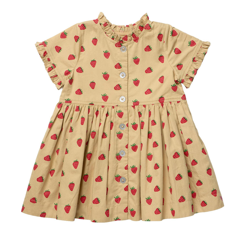 Girls Autumn Dress - Tossed Strawberries