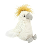 Cockatoo