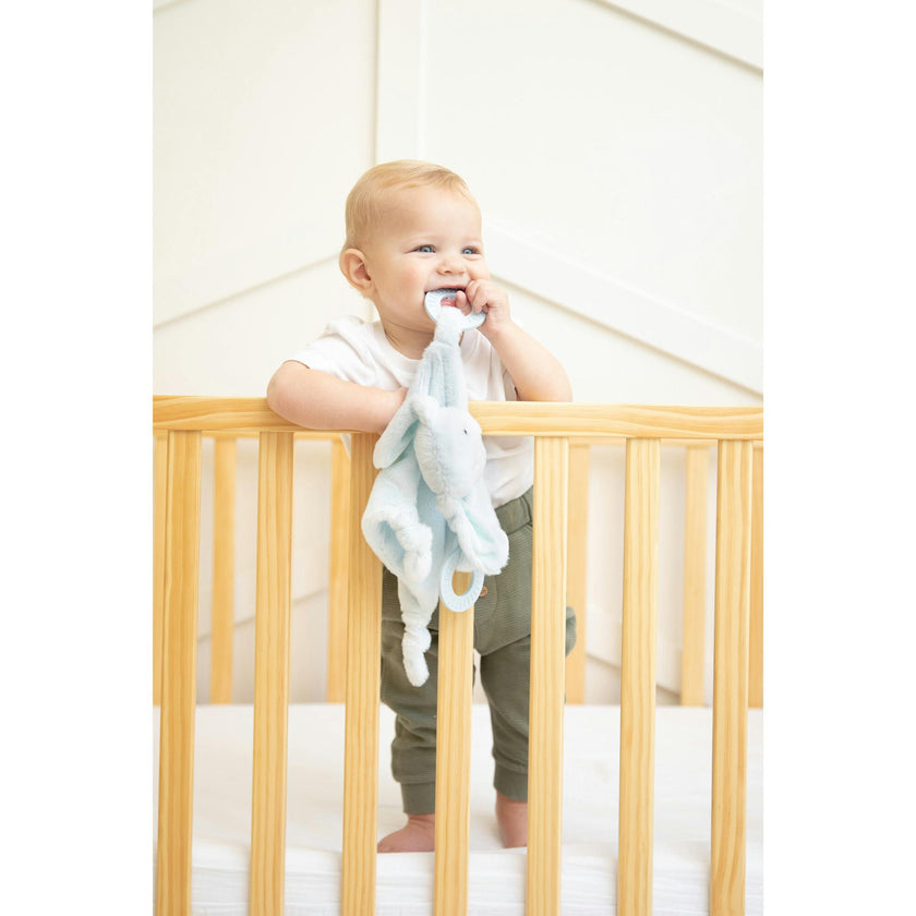 Teether Buddy