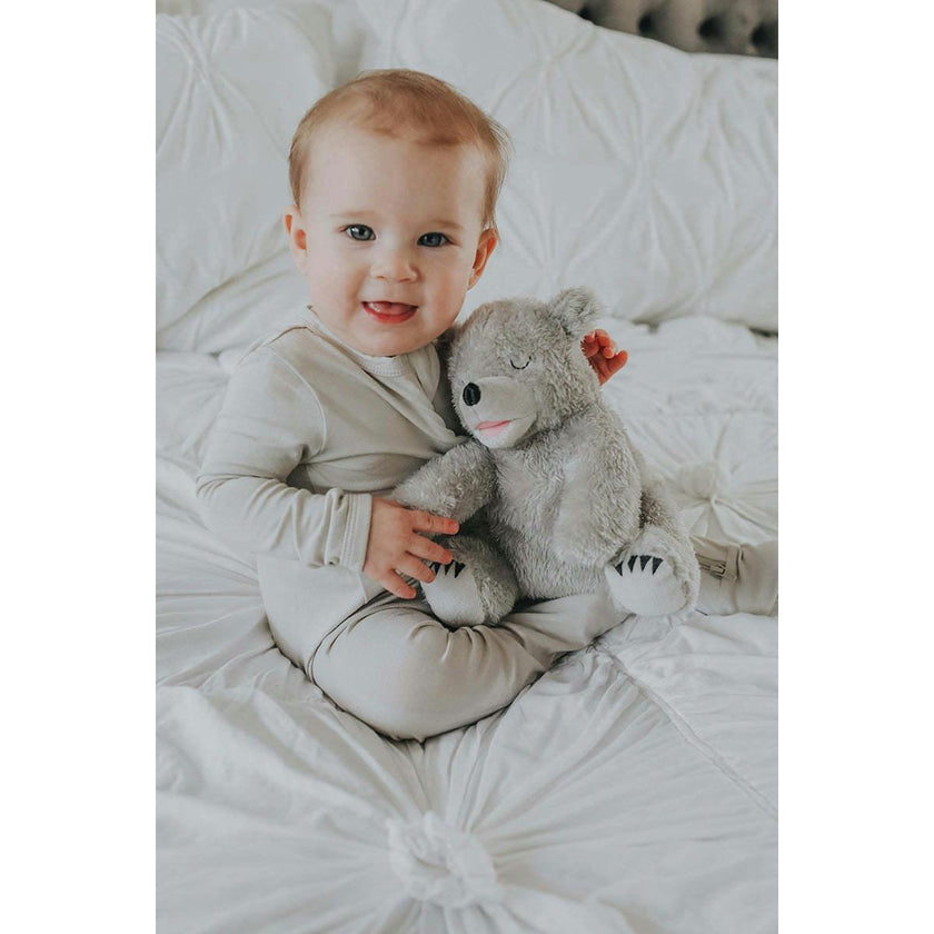 Little Bear - Stormy
