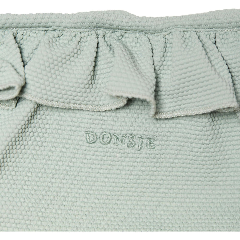 Sisi Watermelon Patch Ruffle Waist & Trim Swimming Briefs