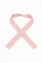 PARK BAG STRAP - Pink Stripe