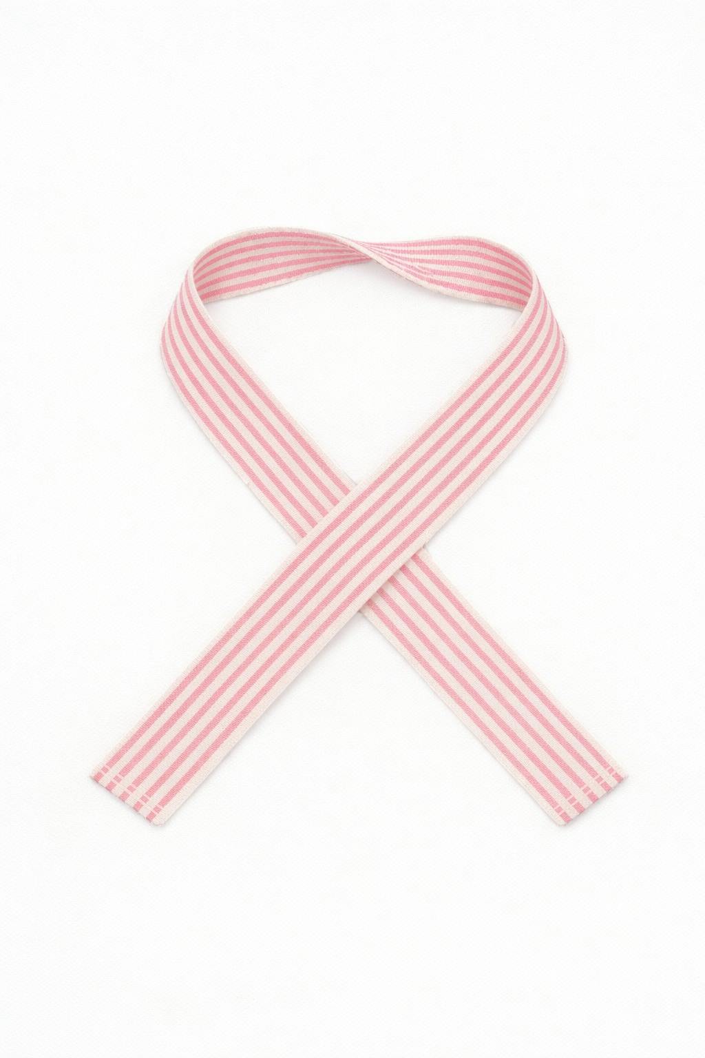 PARK BAG STRAP - Pink Stripe