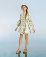 Christina Embroidered Mini Dress