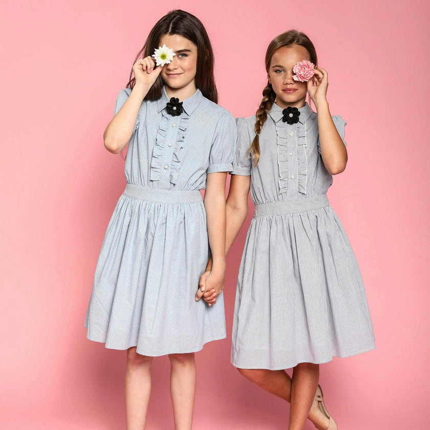 Ariel (light blue stripe)