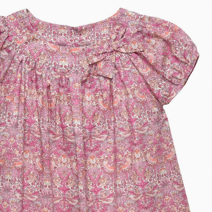 Strawberry Thief Dress