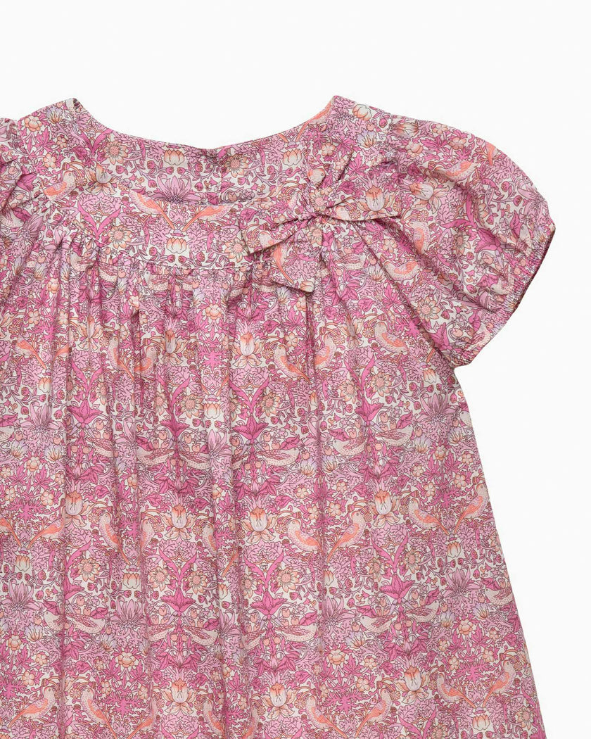 Strawberry Thief Dress