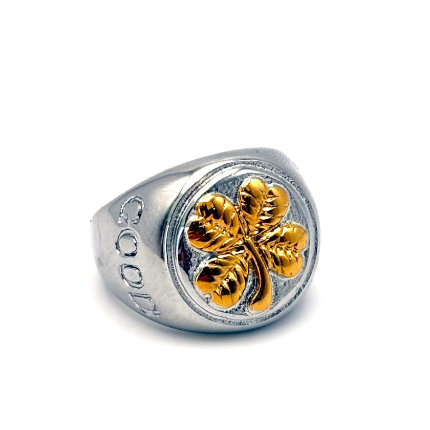 GOOD LUCK RING & NECKLACE