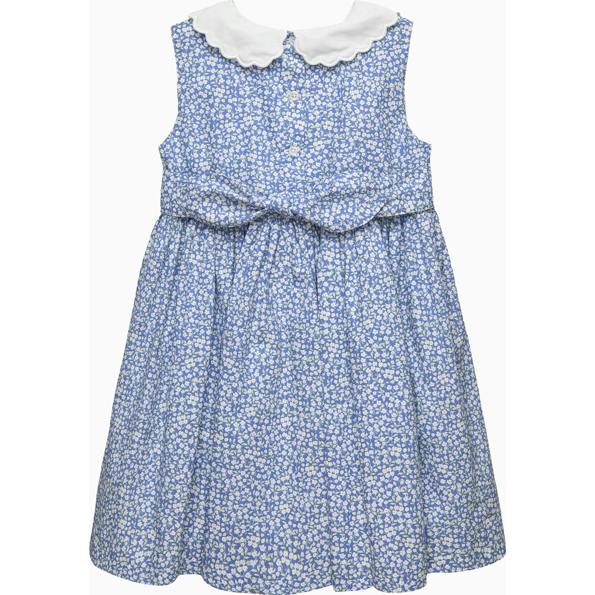Petal Collar Duck Dress in Blue Floral