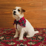 Red Tartan Plaid Dog Bandana