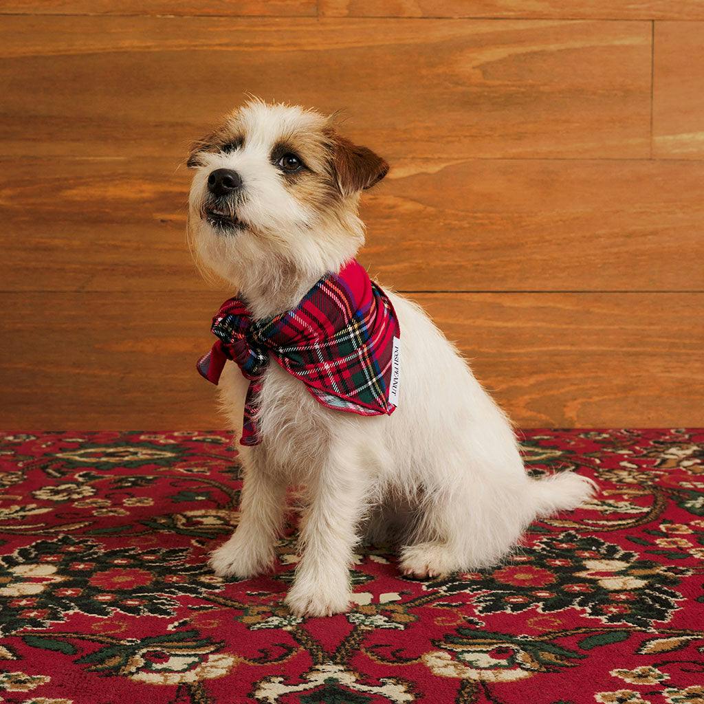 Red Tartan Plaid Dog Bandana