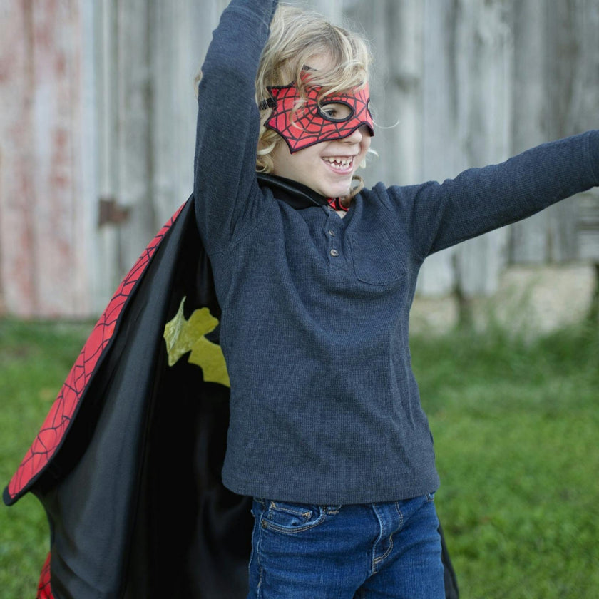 Spider Bat Reversible Cape and Mask