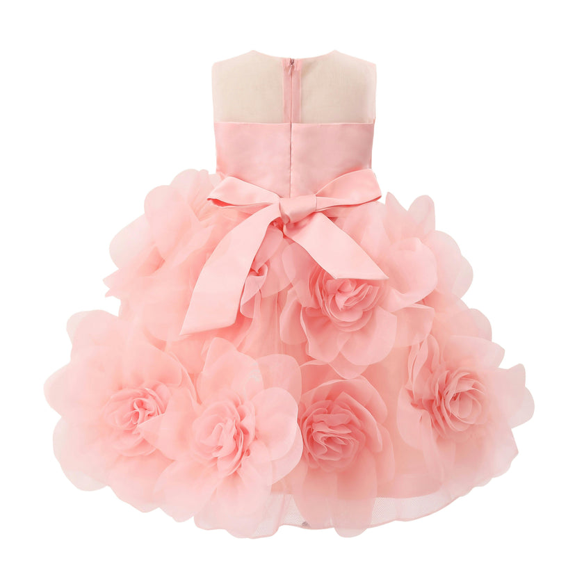 Rose Briellea Embellished Sleeveless Dress