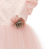 Pink Nez Perce Dress
