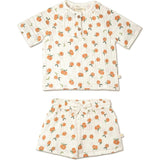 Organic Raglan Shirt & Shorts Set