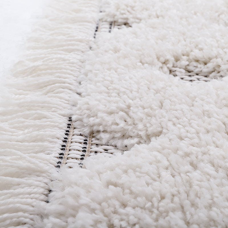 Homy Velvet Flat Woven Dotted Fringed Rectangular Rug