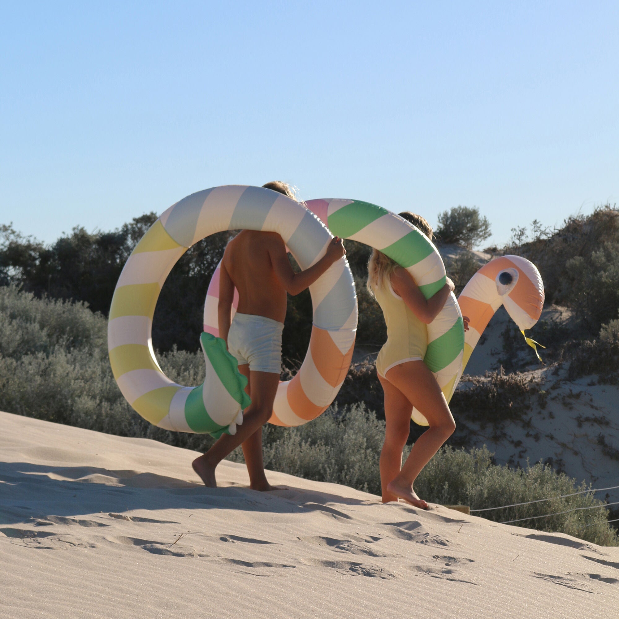 Giant Inflatable Noodle: Poolside