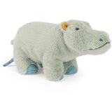 Small Hippopotamus - All Around The World