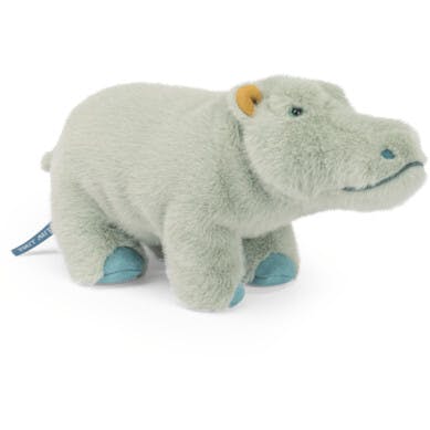 Small Hippopotamus - All Around The World