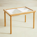 Sand and Water Table
