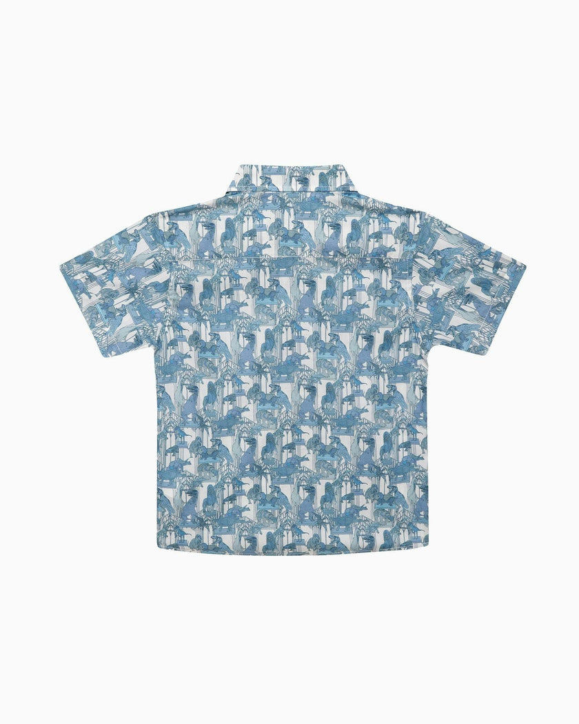Dinosaur Shirt