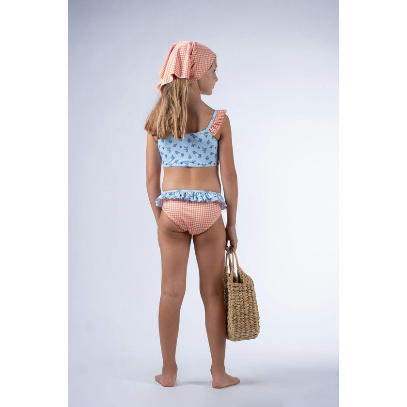 Blueberry Print Vichy Ruffle Bikini, Multi