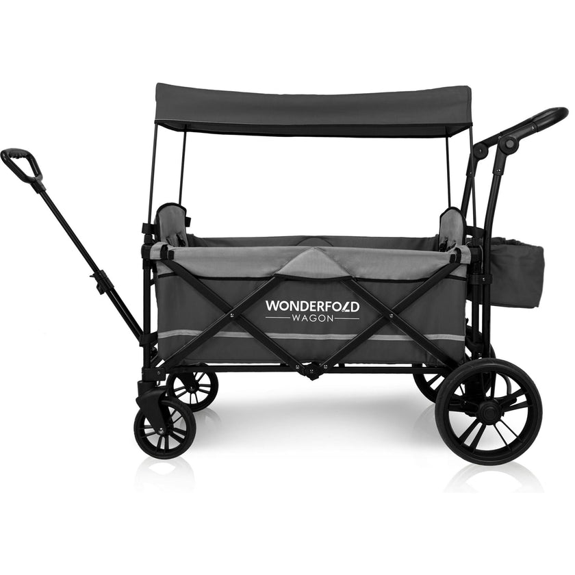 Pull & Push Double Stroller Wagon 2 Seater
