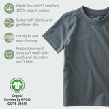 TAYLOR 5-Pack Toddler Short Sleeve T-Shirts
