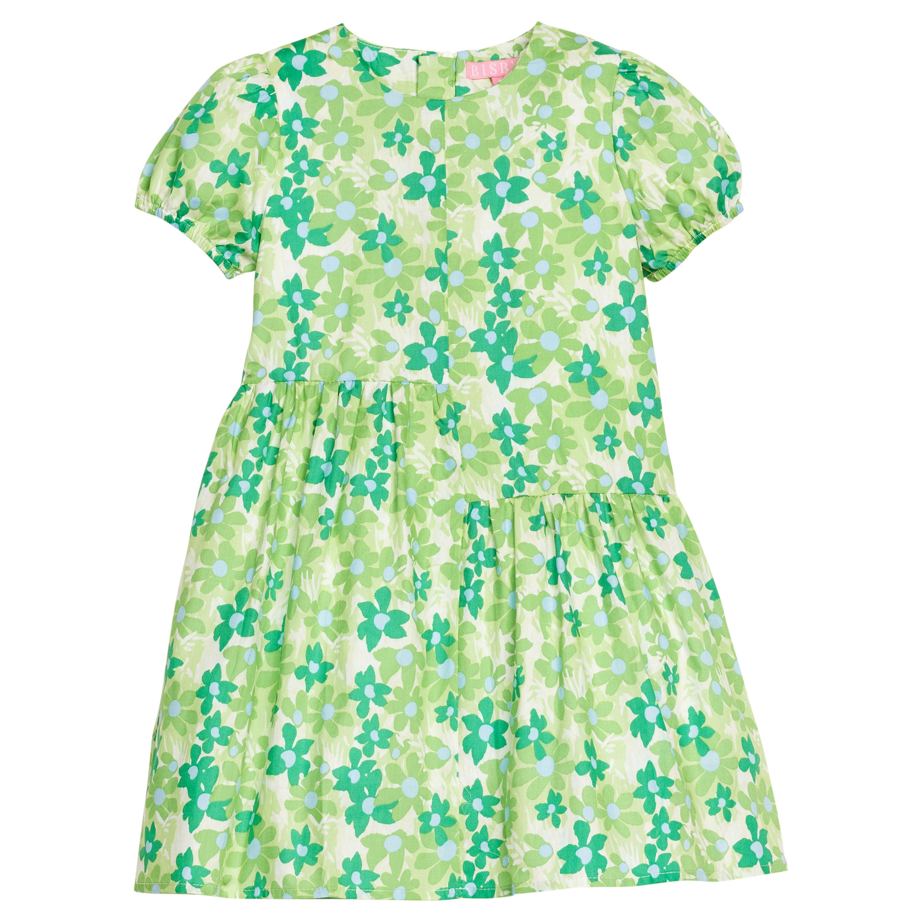 Phillipa Dress - Greenspring Groovy Floral