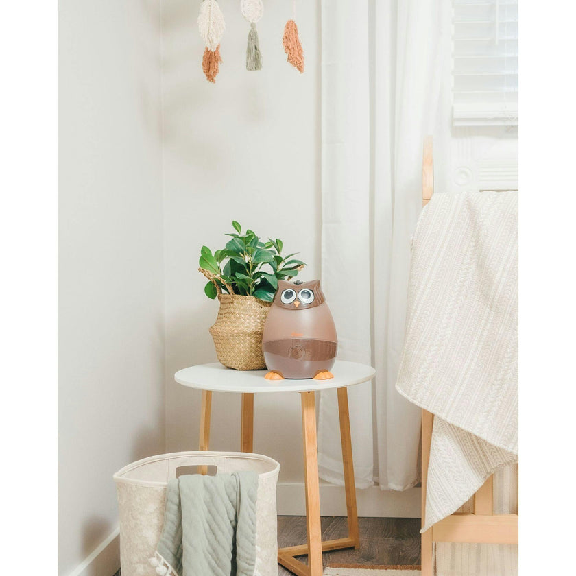Adorable Mini Cool Mist Humidifier
