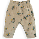 Allover Garden Velvet Pants