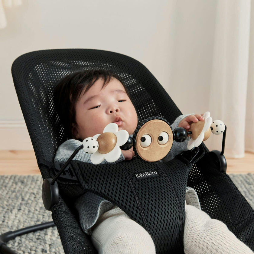 Toy for Bouncer