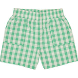 Marco Shorts