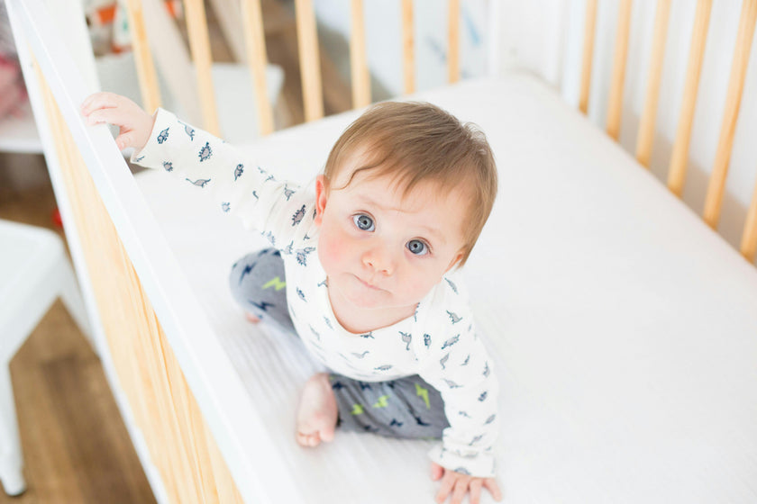 Babyletto Pure Core Non-Toxic Crib Mattress with Hybrid Waterproof Cover
