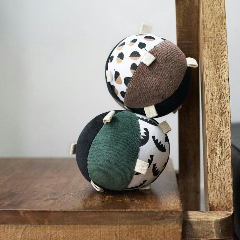 Taggy Ball with Rattle