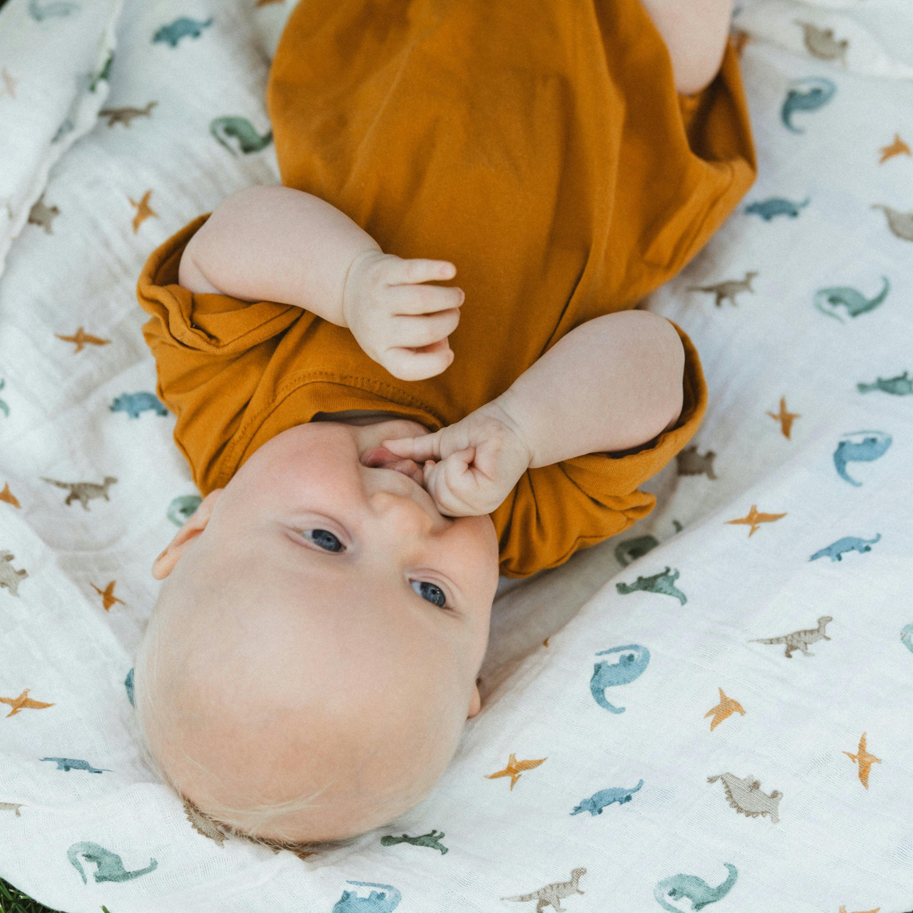 Organic Cotton Muslin Swaddle Blanket 2 Pack - Dino Driftwood (Walmart)