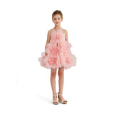Rose Briellea Embellished Sleeveless Dress