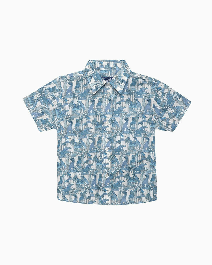 Dinosaur Shirt